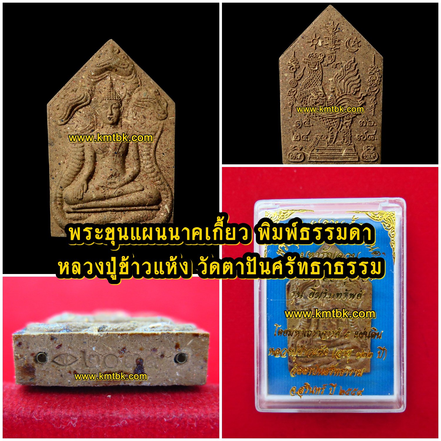 พระขุนแผนนาคเกี้ยว หลวงปู่ข้าวแห้ง วัดตาปันศรัทธาธรรม จ.สุรินทร์ (ศิษย์หลวงปู่สรวง เทวดาเล่นดิน) พิมพ์ธรรมดา ตะกรุด 2ดอก เนื้อผง ขนาดห้อยคอ ปี2559