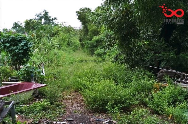 ขายที่ดินเปล่า ถ.มิตรไมตรี ซ.คู้คลองสิบ แขวงคู้ฝั่งเหนือ เขตหนองจอก กรุงเทพ / พื้นที่ 193 ตารางวา