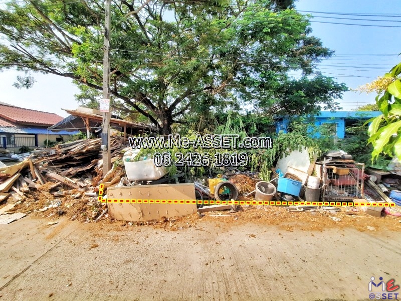 ขายที่ดินเปล่า ย่าน หมู่บ้านศรีวังน้อย โรจนะ ลำตาเสา อยุธยา : ใกล้ ช.วิมลการช่างสแตนเลส และบริษัทโกลเด้นดีพ (ประเทศไทย) : 50 ตร.วา