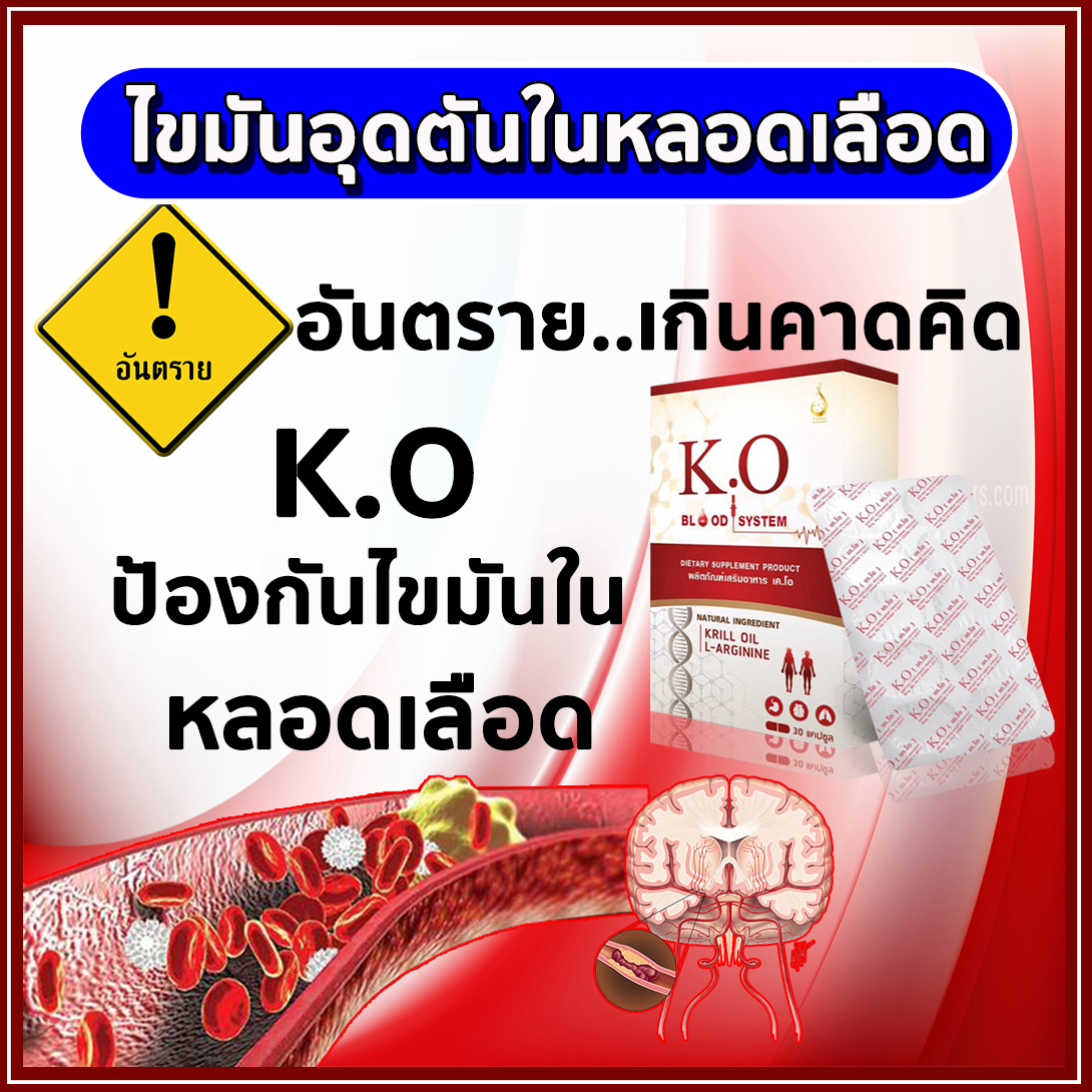 เค.โอ k.o ผลิตภัณฑ์เพื่อระบบเลือด เวียนหัวบ้านหมุน ของแท้