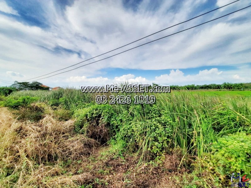 ขายที่ดินเปล่า ย่าน บึงทองหลาง ลำลูกกา คลอง11 : ใกล้บริษัท กิตติ แมนูแฟคเจอร์ริ่ง จำกัด : 3 ไร่ (แปลงละ 1 ไร่ มี 3 แปลงติดกัน / ราคาต่อแปลง / ราคาแต่ละแปลงไม่เท่ากัน)