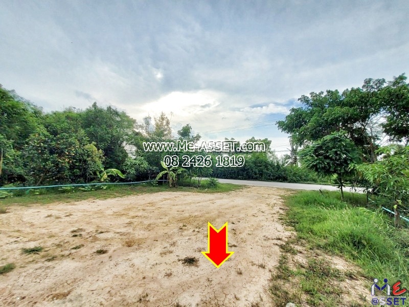 ขายที่ดินถมแล้ว ย่าน วัดมะเกลือ บางแก้วฟ้า คลองโยง ห้วยพลู ลานตากฟ้า : ใกล้คาเฟ่แมว Play With Cat Cafe : 168 ตร.วา