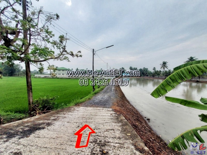 ขายที่ดินเปล่า ย่าน ลานตากฟ้า งิ้วราย คลองโรงเจ ประตูน้ำพระพิมล ม.พฤกษา8 : ใกล้บริษัท สปิริตอะโกร : 1-2-6.1 ไร่