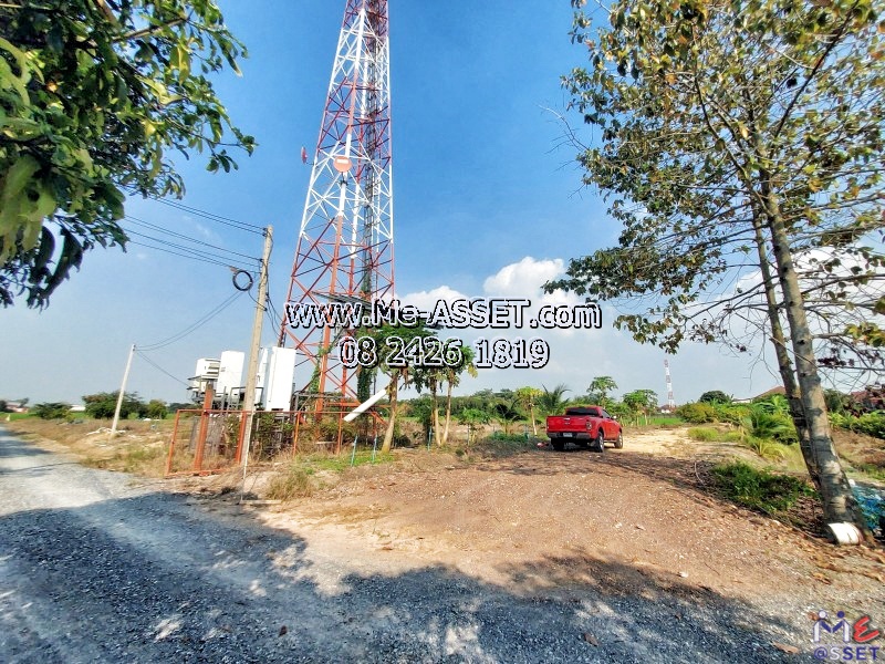 ขายที่ดินเปล่า ย่าน ดาวทอง ลานตากฟ้า นครชัยศรี นครปฐม : ใกล้หมู่บ้านพฤกษา 4 (ลานตากฟ้า) : 701 ตร.วา