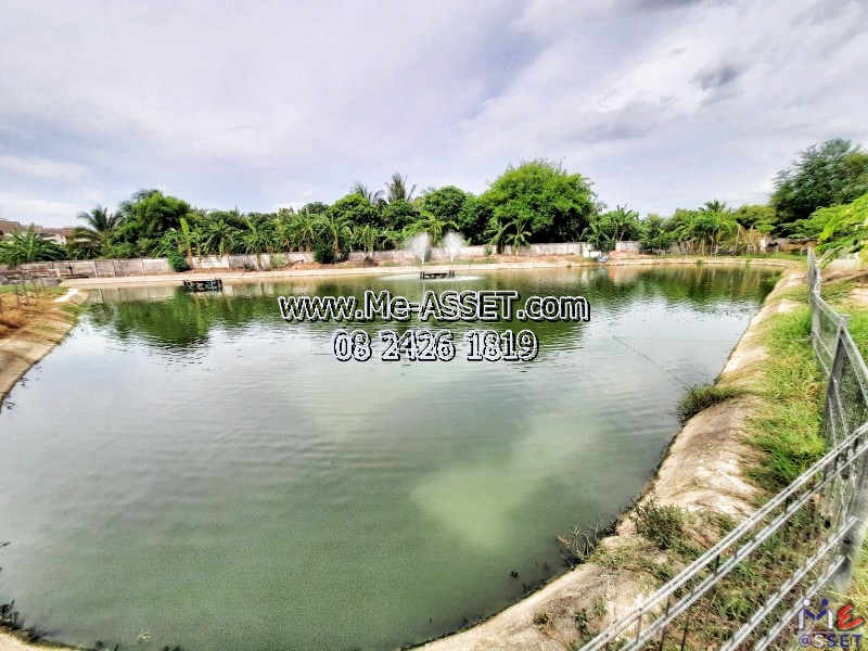 ขายห้องชุด ย่าน ศาลายา มหาสวัสดิ์ คลองโยง ทรงคนอง สามพราน : บ้านเอื้ออาทร ศาลายา 3 : 32.19 ตร.เมตร