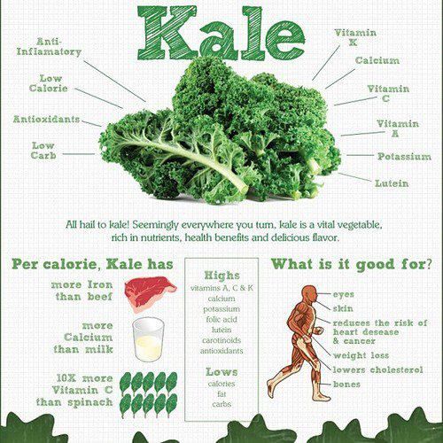 ผงผักเคล สกัดเข้มข้น 10x ผักผง KALE SUPERFOOD POWDER ยี่ห้อ Feaga Life 200 กรัม ผง Superfood (ผักผง ซุปเปอร์ฟู้ด) คุณภาพพรีเมี่ยม