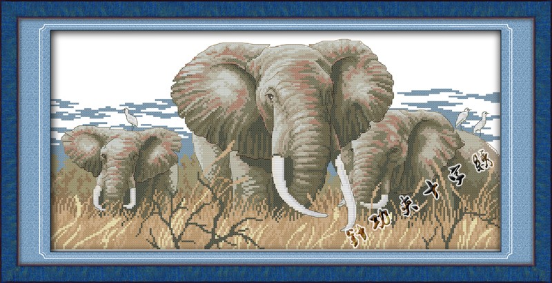 Holy elephants (พิมพ์ลาย)