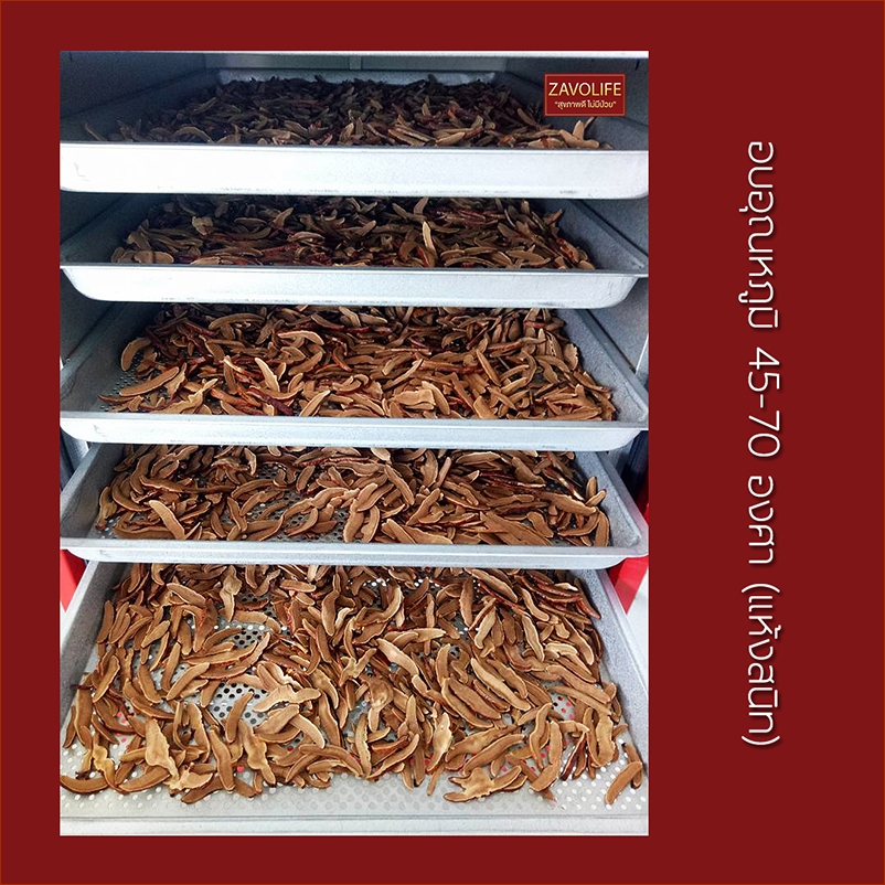 เห็ดหลินจือแดงอบแห้ง ออร์แกนิค(หั่นชิ้น) ช่วยบำรุงตับ ไต ให้ทำงานดีขึ้น(แพ็ค 5 ถุง)