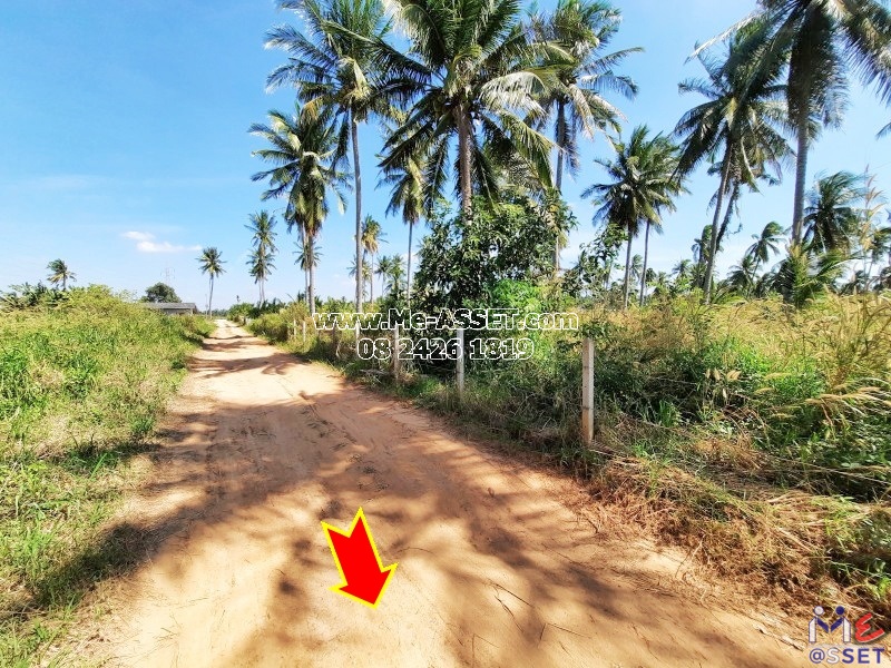 ขายที่ดินเกษตร ปลูกสวนยาง และต้นสัก ต.เกาะหลัก อ.เมือง ประจวบคีรีขันธ์ ใกล้อ่าวมะนาว : 5-1-34 ไร่