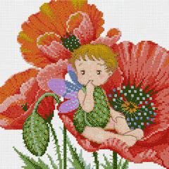 เจ้าดอกป๊อปปี้ (Little Poppy)