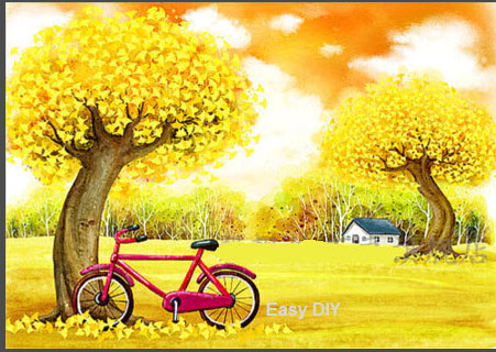 จักรยานในทุ่งหญ้า