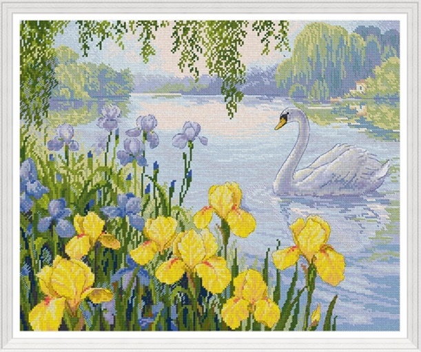 Iris swan lake (พิมพ์ลาย)
