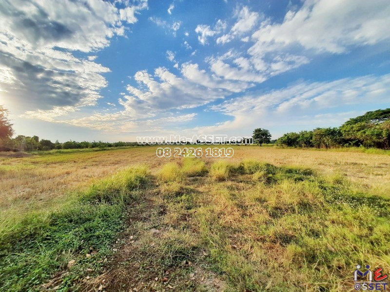 ขายที่ดินเกษตร ย่าน ไร่รถ หนองนา จิกรากข่า หนองแจง ดอนเจดีย์ อำเภอเมือง สุพรรณบุรี : ใกล้ อบต.ไร่รถ : 13 ไร่