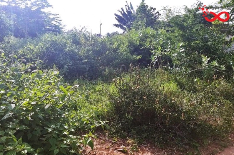 ขายที่ดินเปล่า ซ.ศาลาหมู่บ้านท่าลาดกระดาน ต.วังก์พง อ.ปราณบุรี ประจวบคีรีขันธ์ / พื้นที่ 65.8 ตารางวา