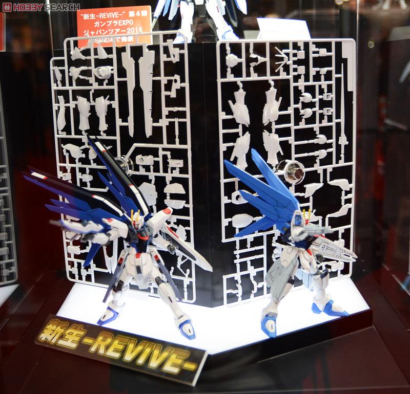 Freedom Gundam (HGCE)