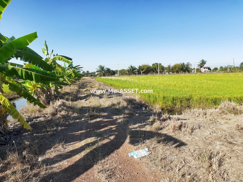 ขายที่ดินเปล่า ถ.พิชัยเขต ต.ศาลากลาง อ.บางกรวย นนทบุรี ใกล้ ม.มหิดล / พื้นที่ 5 ไร่