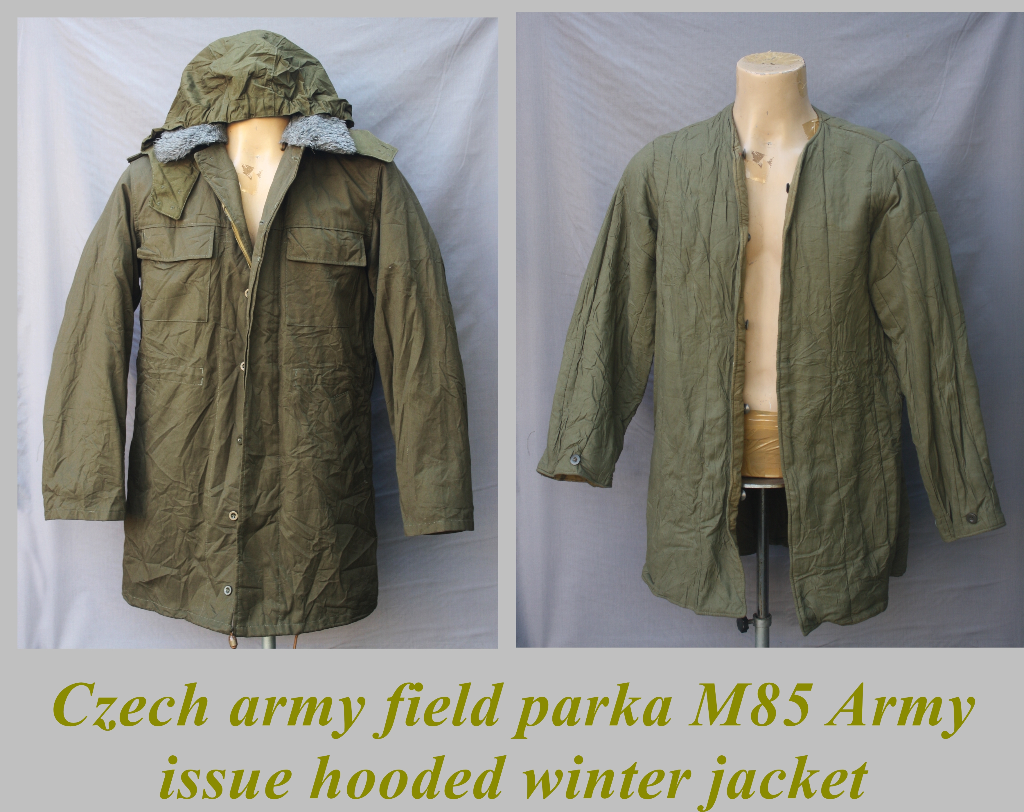the Czechoslovakian Army M85