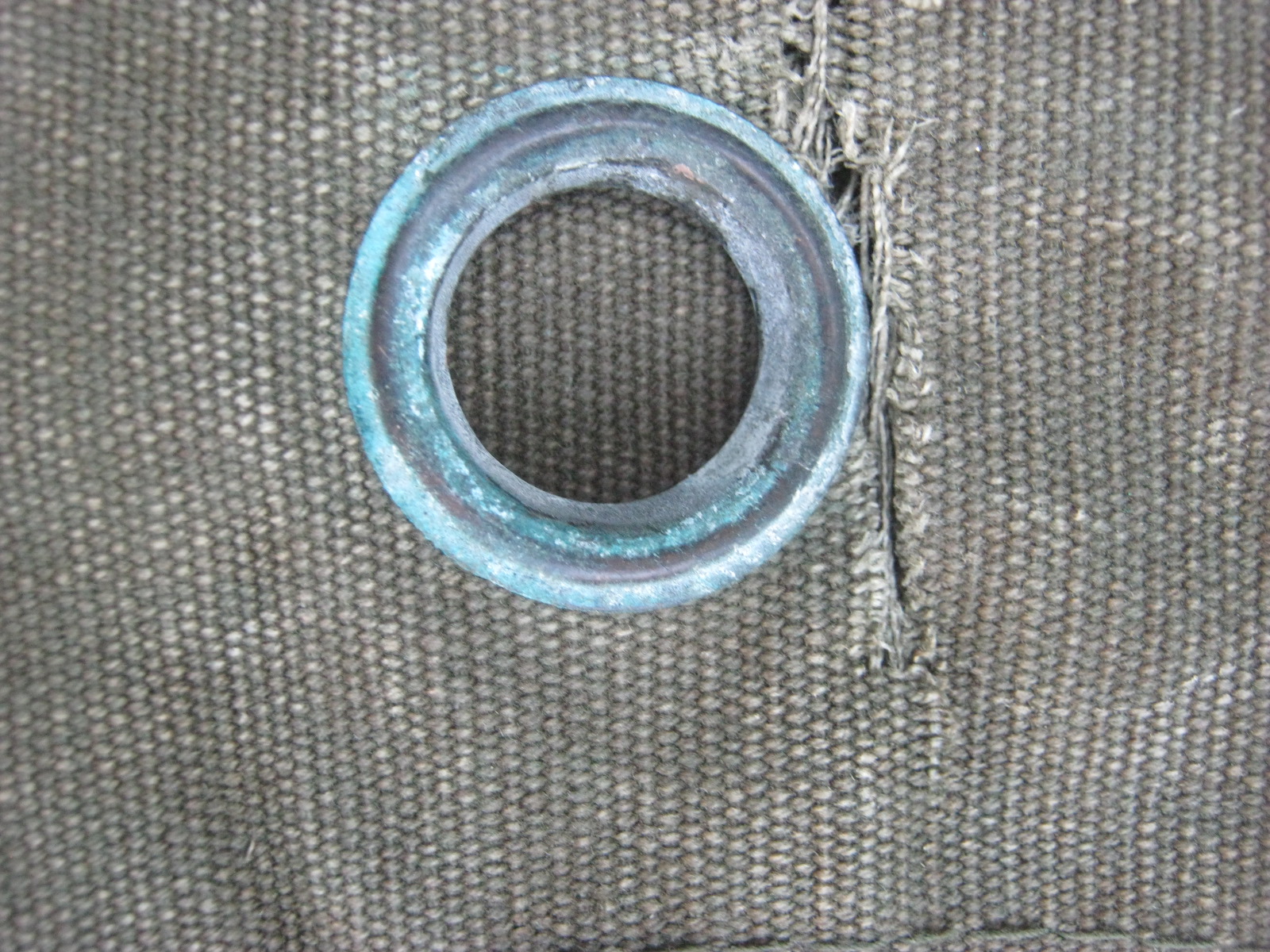 ถุงทะเลยุโรป สะสม