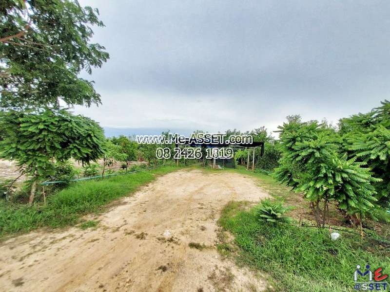 ขายที่ดินถมแล้ว ย่าน วัดมะเกลือ บางแก้วฟ้า คลองโยง ห้วยพลู ลานตากฟ้า : ใกล้คาเฟ่แมว Play With Cat Cafe : 168 ตร.วา