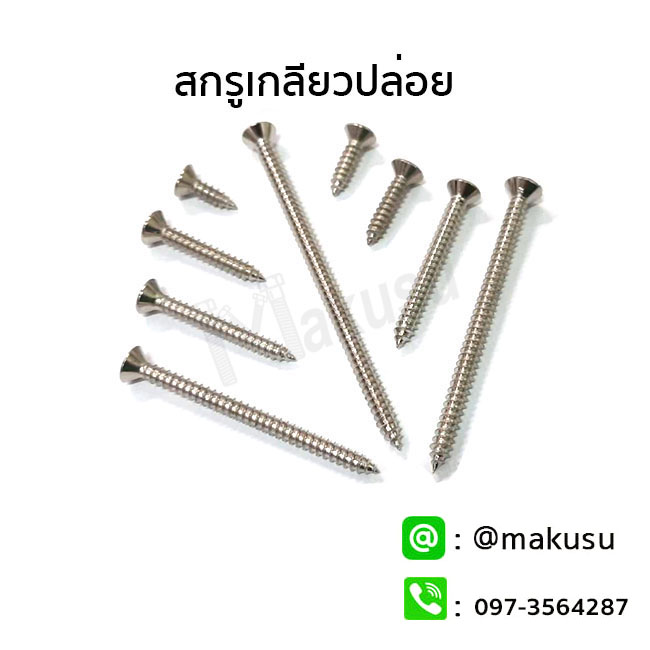 สกรูเกลียวปล่อย สกรูเกลียวปล่อยปลายแหลม มีให้เลือก 4 ขนาด