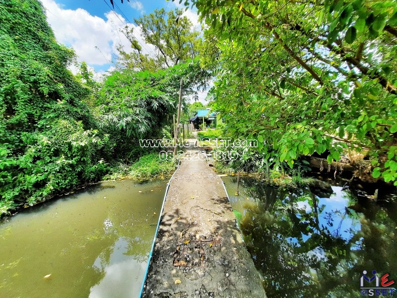 ขายที่ดินพร้อมสิ่งปลูกสร้าง บ้านชั้นเดียว ย่าน พุทธมณฑลสาย 4, ทวีวัฒนา อักษะ : ศาลายา ซอย 17 ใกล้ร้านก๊วยเตี๋ยวนายเงี๊ยบ : 134 ตารางวา