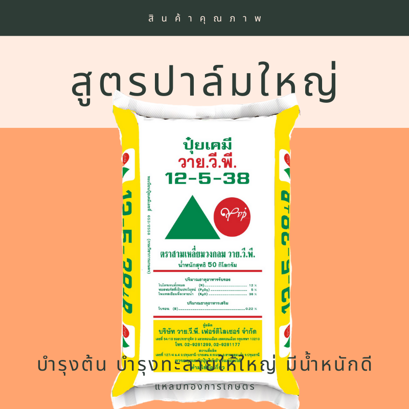 ปุ๋ยเคมีสูตร12-5-38 YVPตราสามเหลี่ยมวงกลม