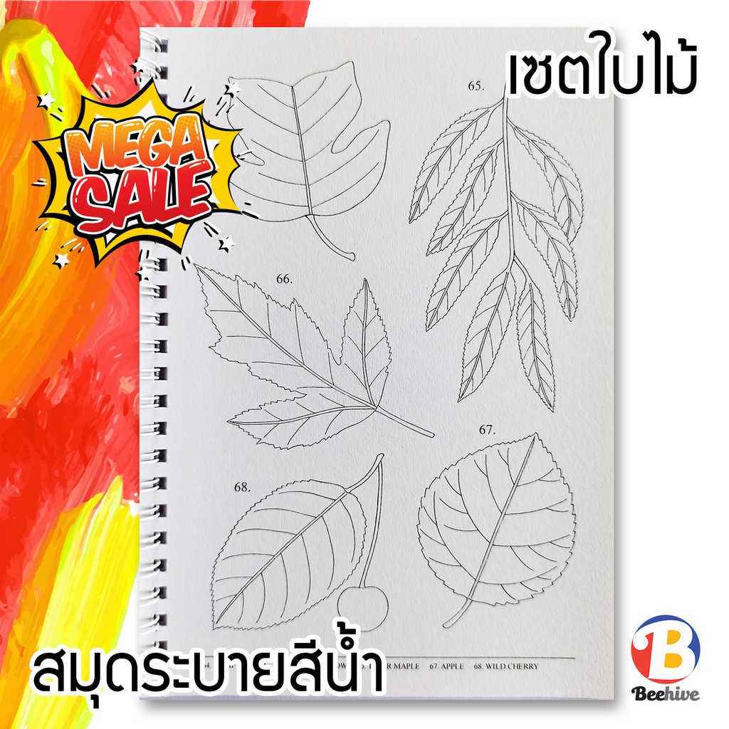 สมุดระบายสี สีน้ำ สีไม้ NAMWAN PASTEL สอนระบายสี ขนมเค้ก / ไอศกรีม / ดอกไม้ / ใบไม้