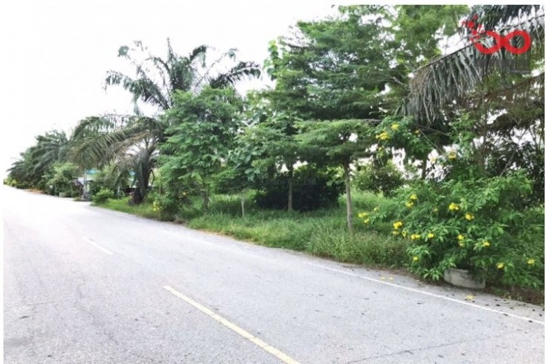 ขายที่ดินถมแล้ว สมพงษ์เรียลเอสเตท ถ.ศาลายา-บางภาษี ต.คลองโยง อ.พุทธมณฑล นครปฐม ใกล้ ม.พุทธมณฑลแลนด์ / พื้นที่ 99 ตารางวา