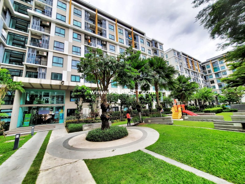 ขายและเช่า คอนโด ย่าน ศาลายา มหาสวัสดิ์ มหิดล : ไอ คอนโด เดอะแคมปัส ศาลายา 1 : 24.26 ตารางเมตร