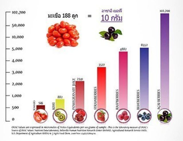 ผงอาซาอิเบอร์รี สกัด Freeze Dry ยี่ห้อ Feaga Life 80 กรัม ผง Superfood คุณภาพเยี่ยม