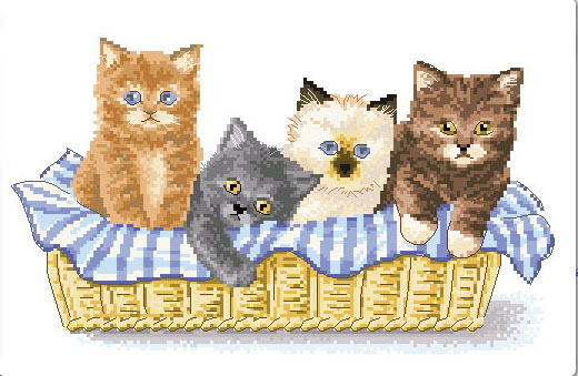 Baby cats