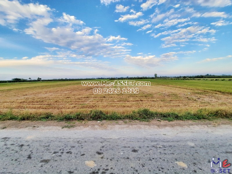 ขายที่ดินเกษตร ย่าน สนามคลี ตลิ่งชัน หนองศาลา หนองพันกง อำเภอเมือง สุพรรณบุรี : ใกล้ อบต.ตลิ่งชัน : 13-2-92.3 ไร่