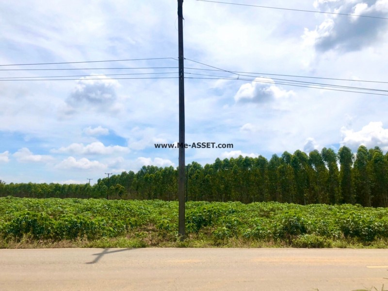 ขายที่ดินเปล่า ต.ท่ากระดาน อ.สนามชัยเขต ฉะเชิงเทรา ใกล้ อบต.คู้ยายหมี / พื้นที่ 6-2-27 ไร่