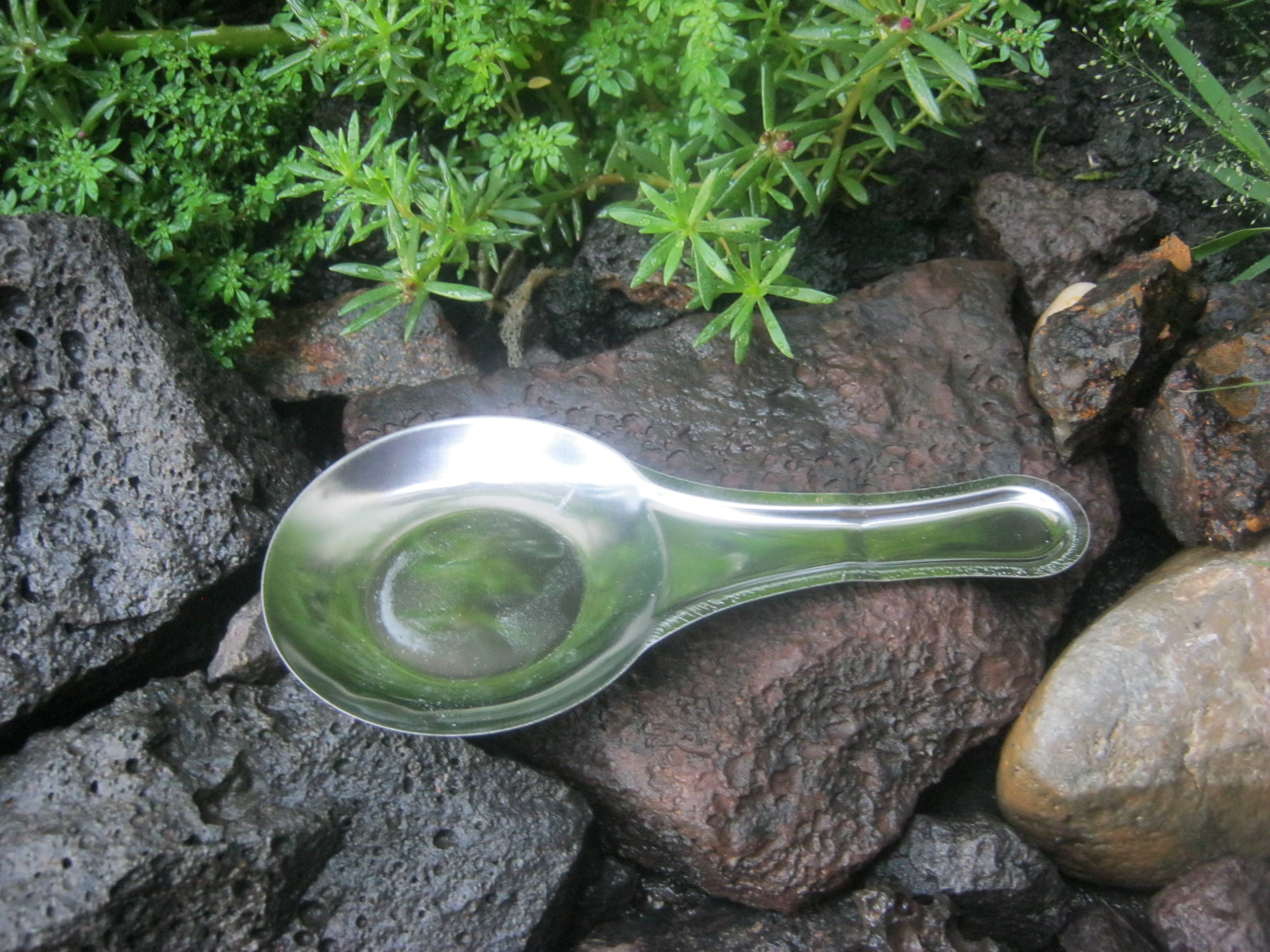 เตาแอลกอฮอล์ แบบพกพา