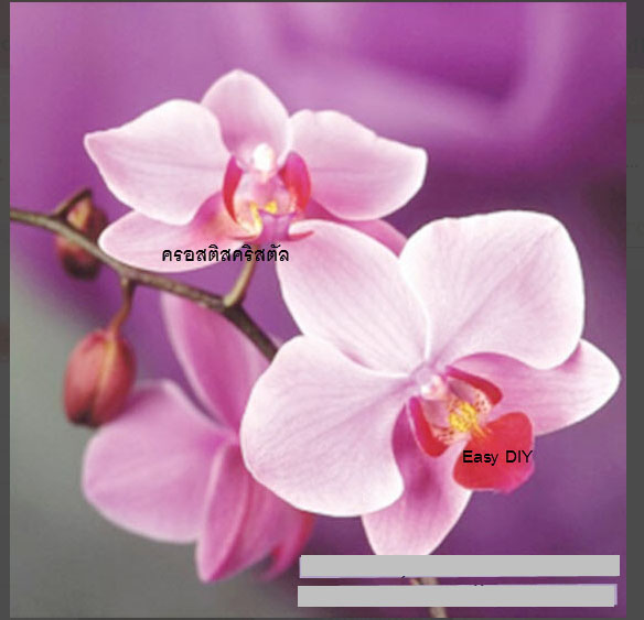 อุปกรณ์งานฝีมือ diy ครอสติสคริสตัลรูปดอกกล้วยไม้ orchid 2