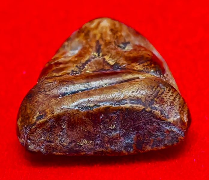 พระปิดตาพิมพ์ใหญ่หลังเรียบ หลวงพ่อปาน วัดเครือวัลย์ จ.ชลบุรี