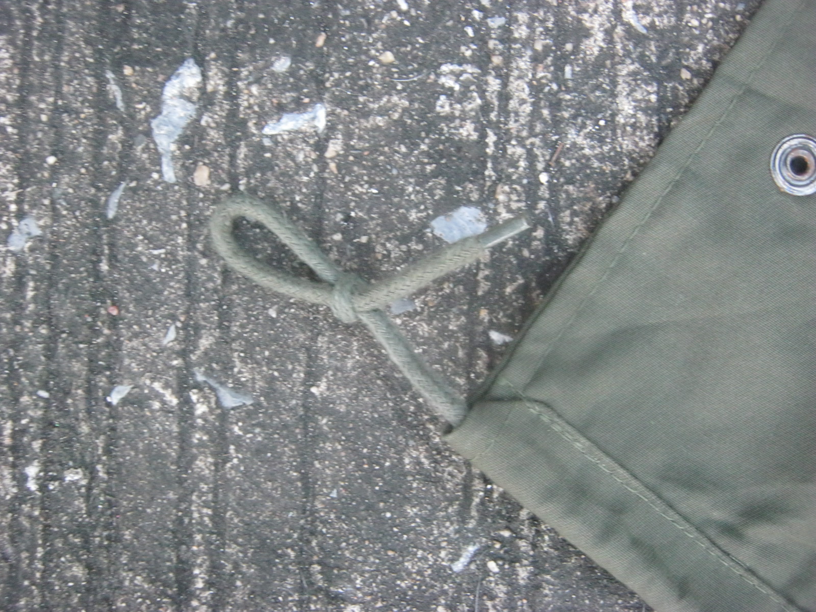 M65 แฟชั่นทหาร