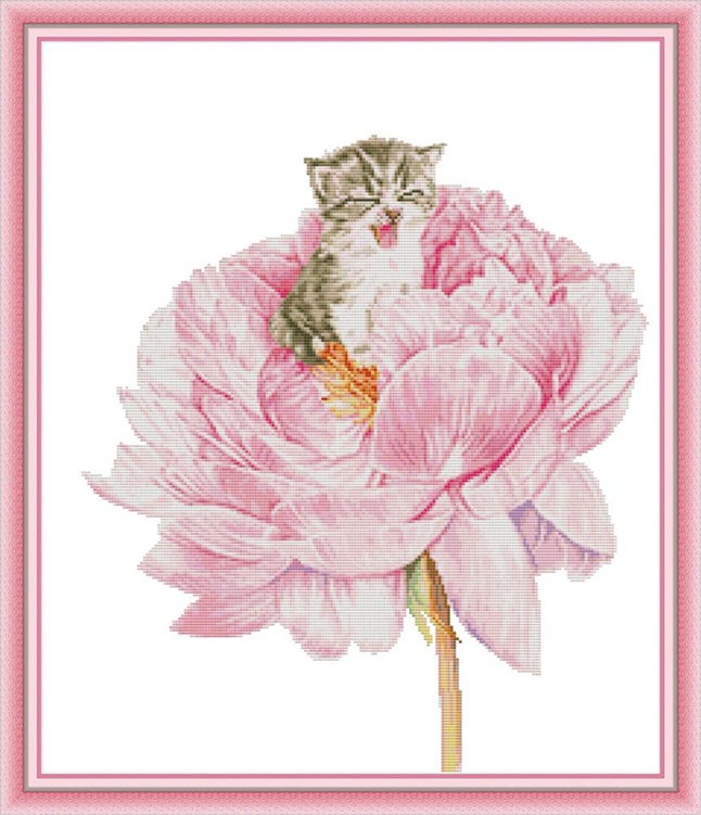 Cat in the flower (ไม่พิมพ์พิมพ์ลาย)