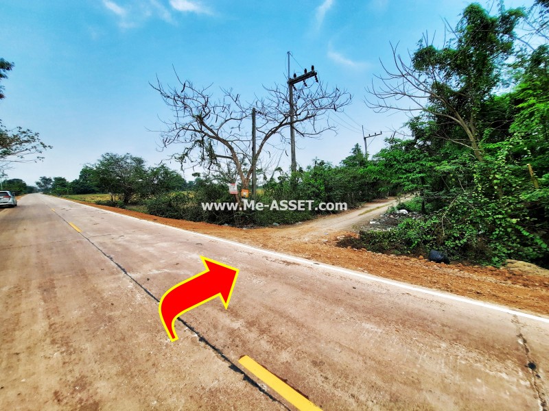 ขายที่ดินถมแล้ว ย่าน ดอนฉิมพลี บางน้ำเปรี้ยว วัดพืชอุดม ลำลูกกา คลอง 16 : ถ.ลำลูกกา คลอง 16 : 83.5 ตารางวา (มี 2 แปลงติดกัน)