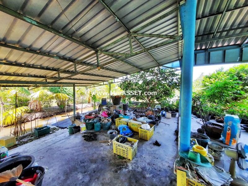 ขายที่ดินเกษตร สวนผสม ถ.บ้านวังนกไข่ ต.หนองนกไข่ อ.กระทุ่มแบน สมุทรสาคร / พื้นที่ 9-1-53 ไร่