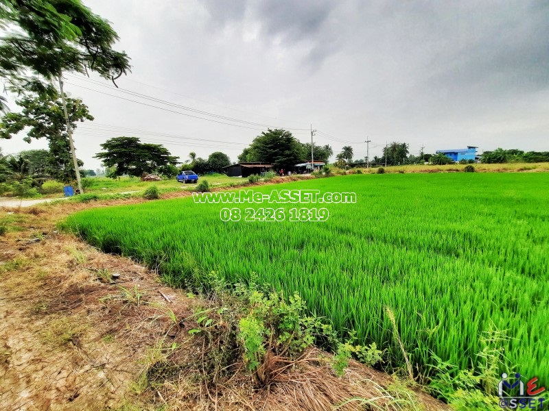 ขายที่ดินเปล่า ย่าน ลานตากฟ้า มหาสวัสดิ์ ดอนแฝก : ใกล้ ปายนาคาเฟ่ : 3-3-70 ไร่ มี 2 แปลงติดกัน