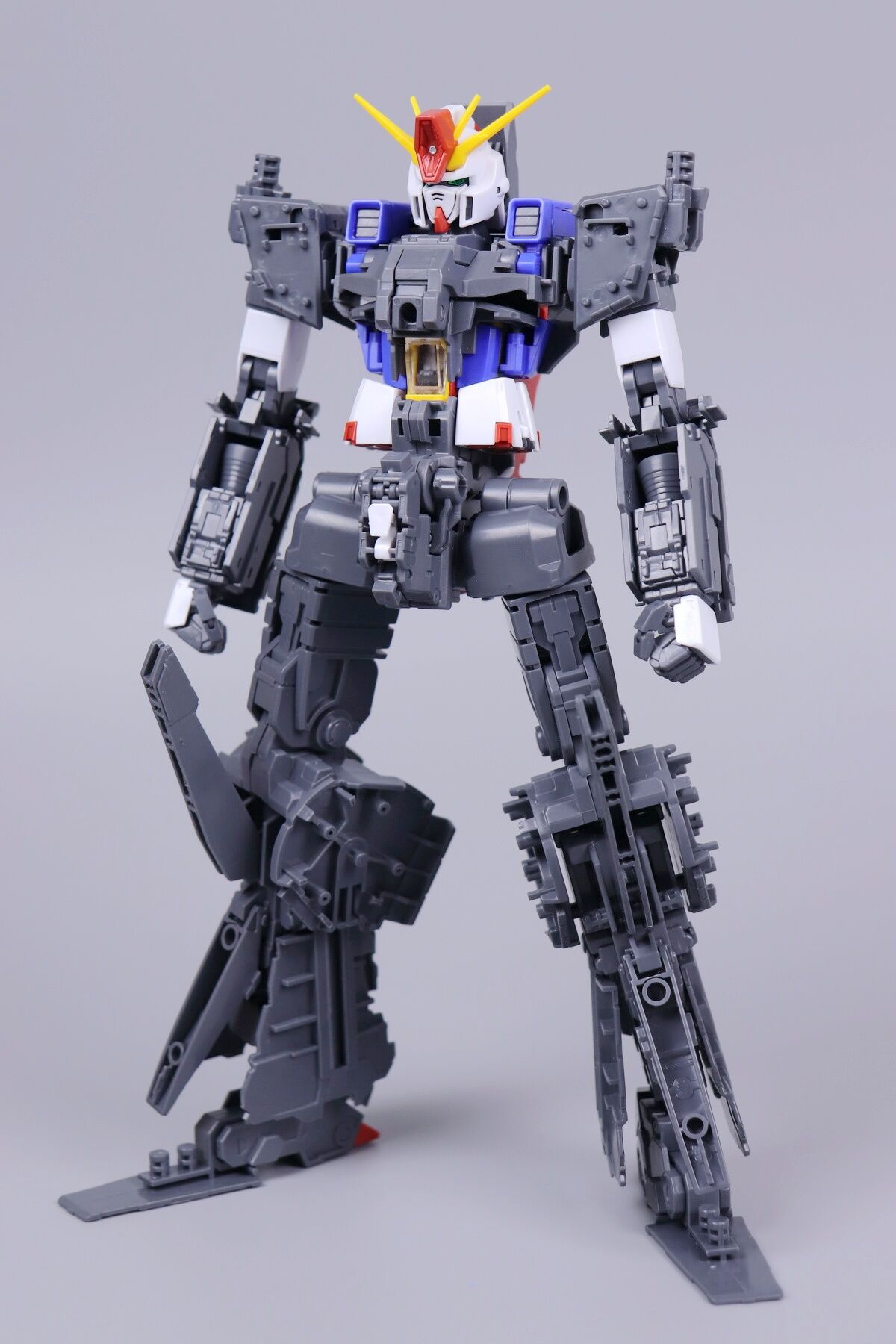 MG 1/100 ZZ AA Model