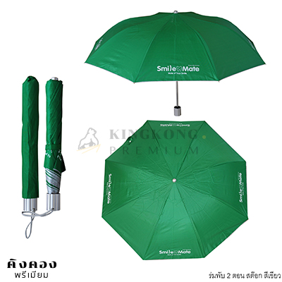 ร่มพับ 2 ตอน สต๊อก(สีเขียว)