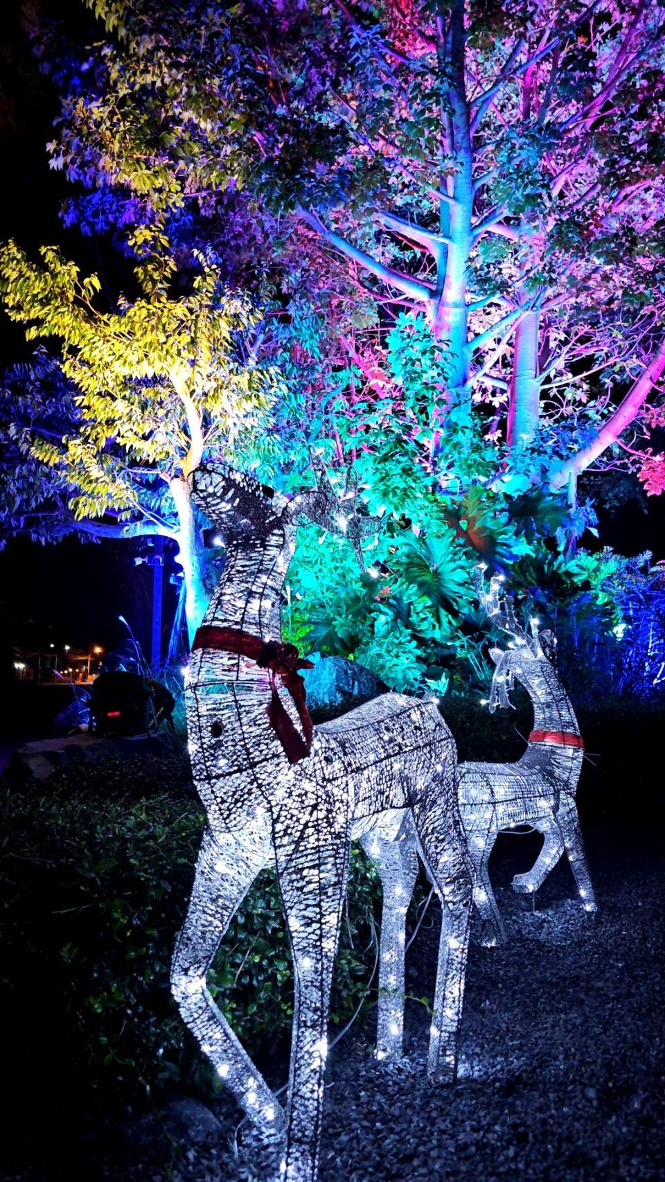 เลือกเช่าต้นคริสต์มาสเพื่อการประดับที่งดงาม