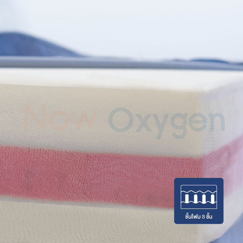 🇺🇸 ที่นอนโฟม ป้องกันแผลกดทับ 3 Layer (ป้องกันระดับสูง) รองรับน้ำหนักได้ 250 kg. Devilbiss รุ่น Gravimed Baritexx รับประกันศูนย์ไทย 5 ปี