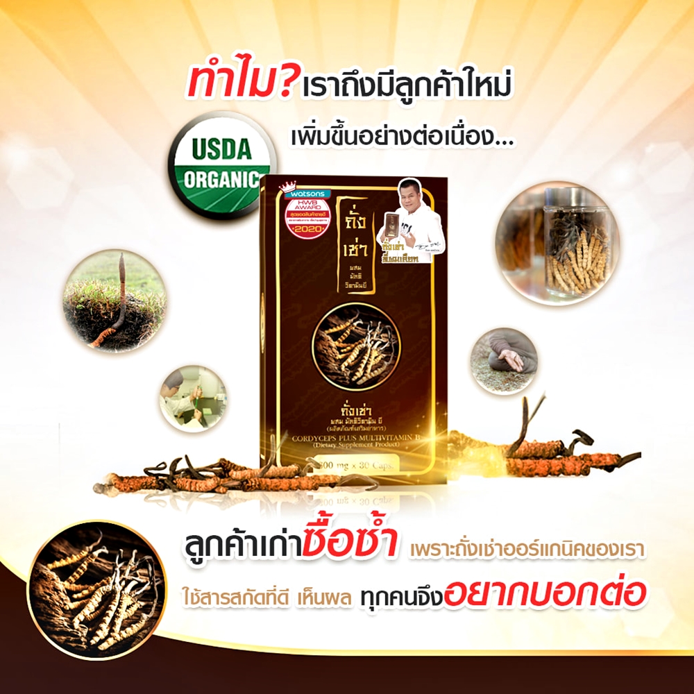 ถั่งเช่าผสมมัลติวิตามินบี ถั่งเช่ายิ่งยงของแท้ เสริมภูมิคุ้มกันให้ร่างกาย (30 แคปซูล)