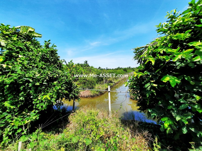 ขายที่ดินเกษตร สวนผสม ถ.บ้านวังนกไข่ ต.หนองนกไข่ อ.กระทุ่มแบน สมุทรสาคร / พื้นที่ 9-1-53 ไร่