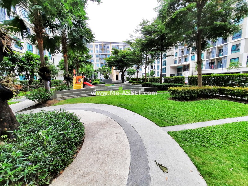 ขายและเช่า คอนโด ย่าน ศาลายา มหาสวัสดิ์ มหิดล : ไอ คอนโด เดอะแคมปัส ศาลายา 1 : 24.26 ตารางเมตร