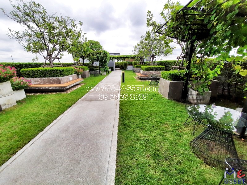 ขายและเช่า คอนโด ใกล้รถไฟฟ้า ย่าน วงศ์สว่าง บางซื่อ บางซ่อน : แอสปาย รัชดา-วงศ์สว่าง : 26.12 ตารางเมตร