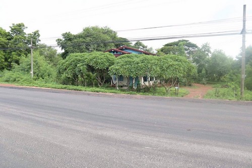 ขายด่วน ที่ดิน ทำเลดี ติดถนนนิตโย เนื้อที่ 6 ไร่เศษ อ.กุสุมาลย์ จ.สกลนคร